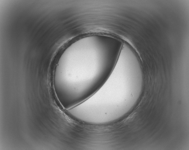 X0000063450979200601200950