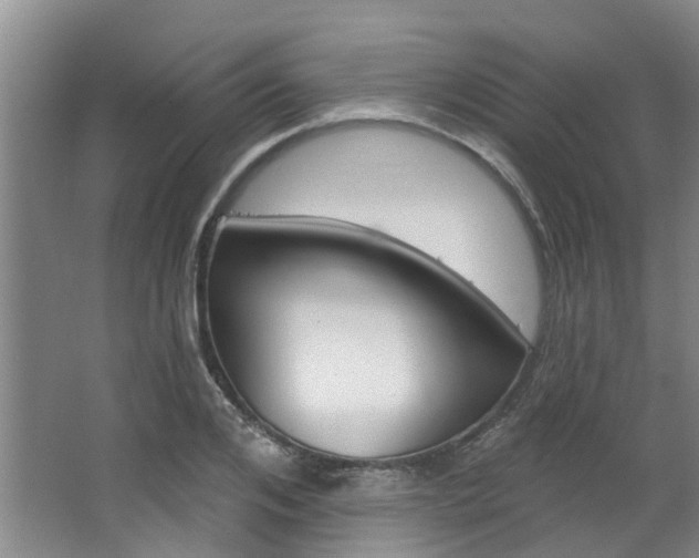 X0000063450984200601200950