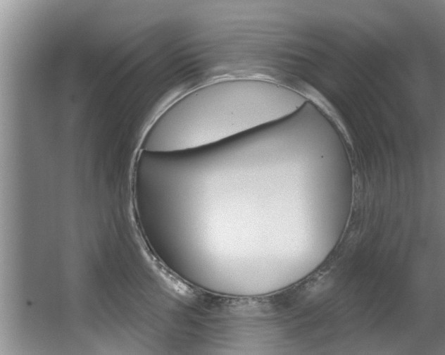 X0000063451002200601200950