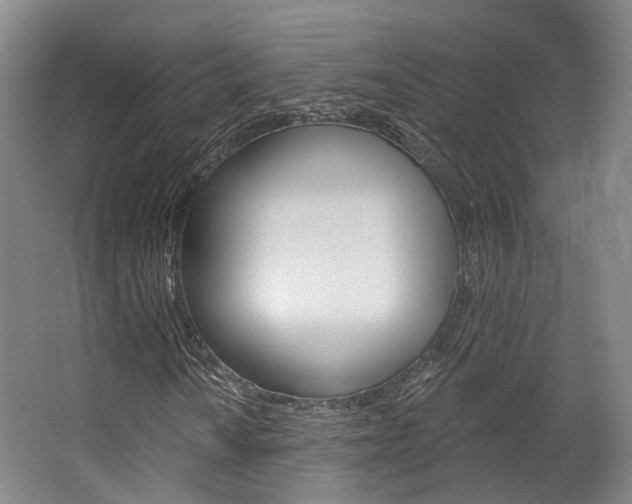 X0000063451010200601200949