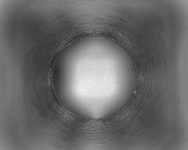 X0000063451012200601200949