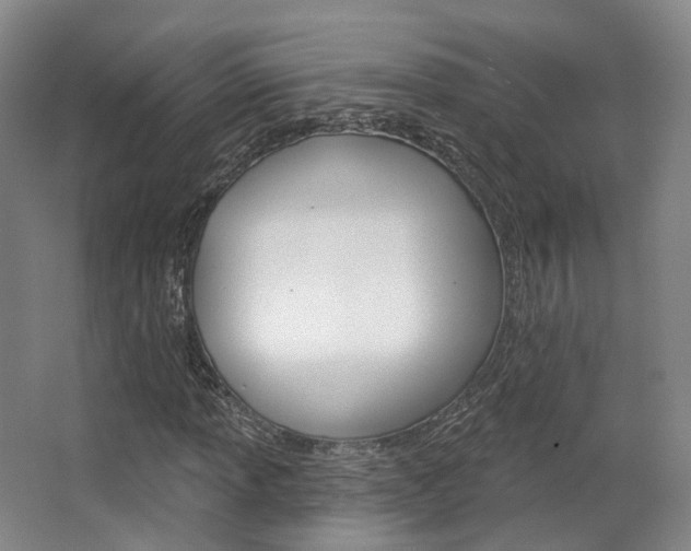 X0000063451013200601200949