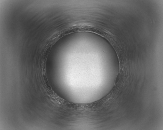 X0000063451014200601200949