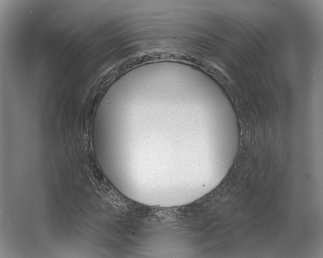 X0000063451015200601200949