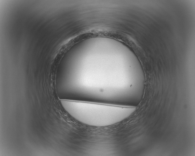 X0000063451016200601200949