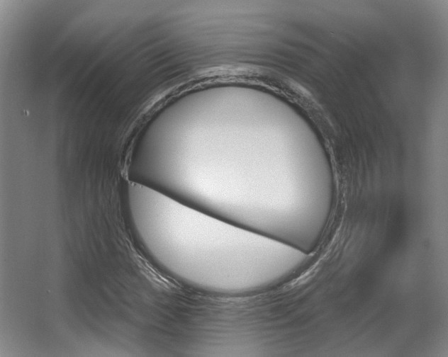 X0000063451017200601200949