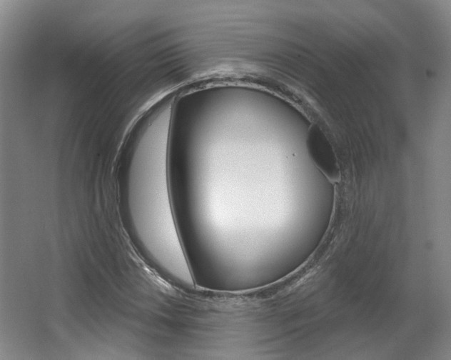 X0000063451018200601200949