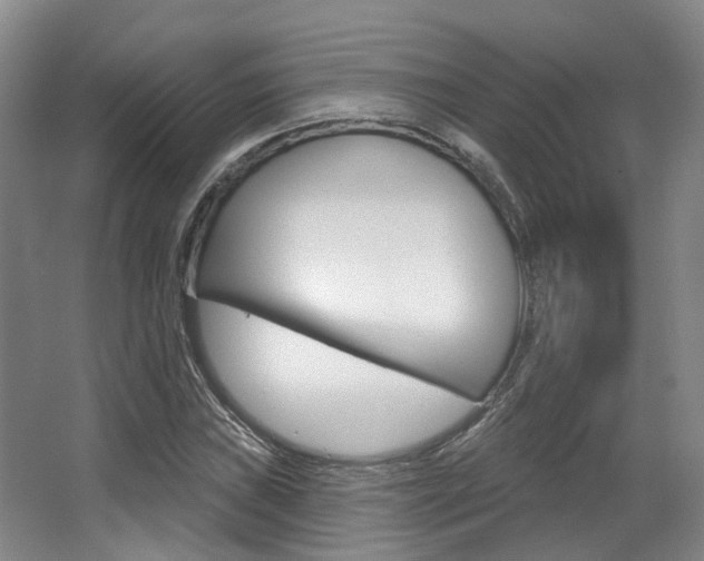 X0000063451019200601200949