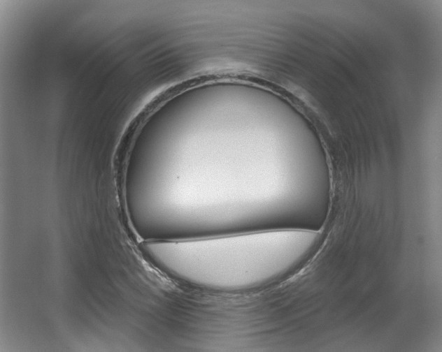 X0000063451022200601200949