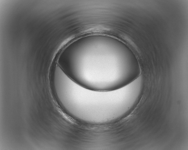 X0000063451026200601200949