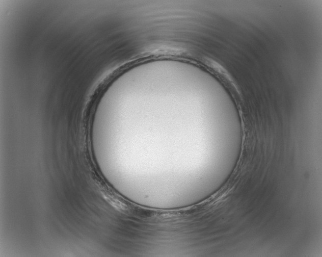 X0000063451027200601200949