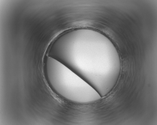 X0000063451031200601200949
