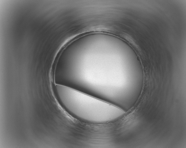 X0000063451032200601200949