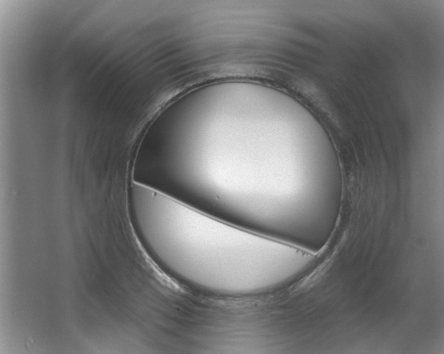 X0000063451033200601200949