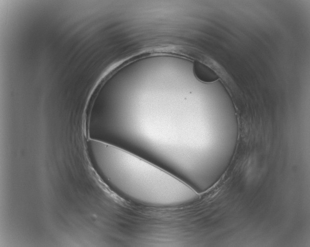 X0000063451036200601200949