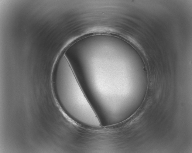 X0000063451037200601200949