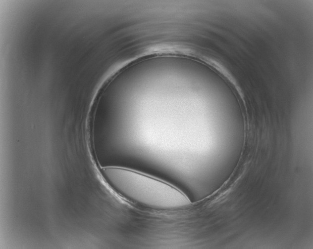 X0000063451045200601200950