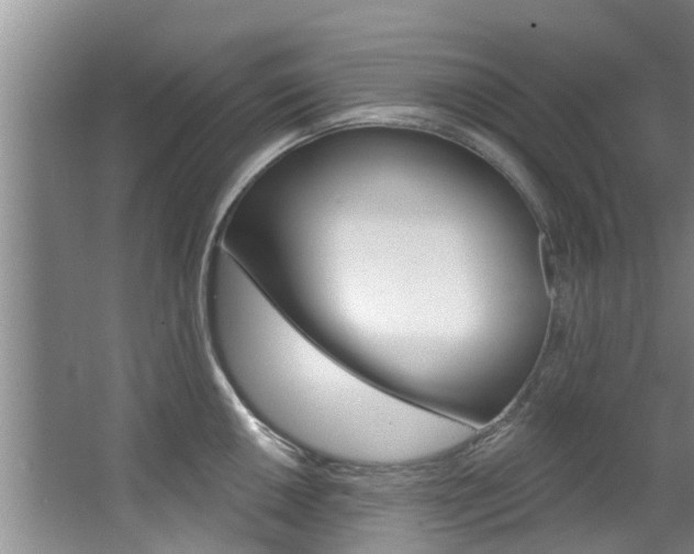 X0000063451050200601200950