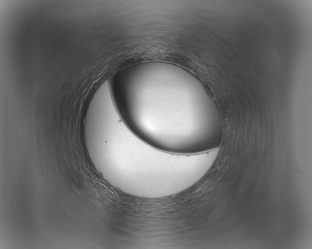 X0000063451057200601200949