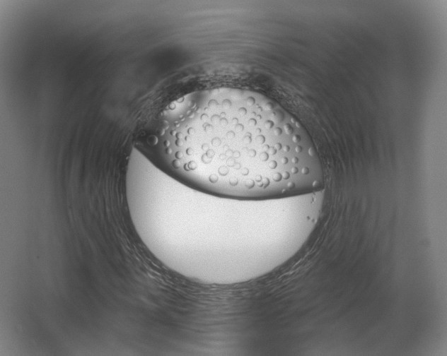 X0000063451059200601200949