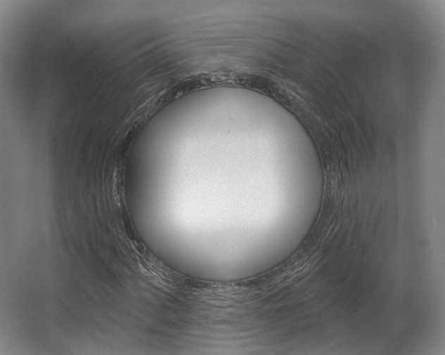 X0000063451060200601200949