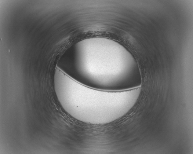 X0000063451062200601200949
