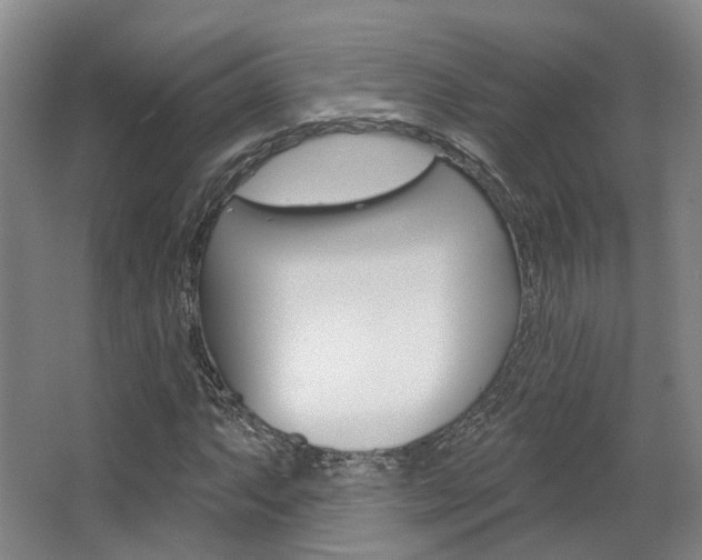 X0000063451063200601200949