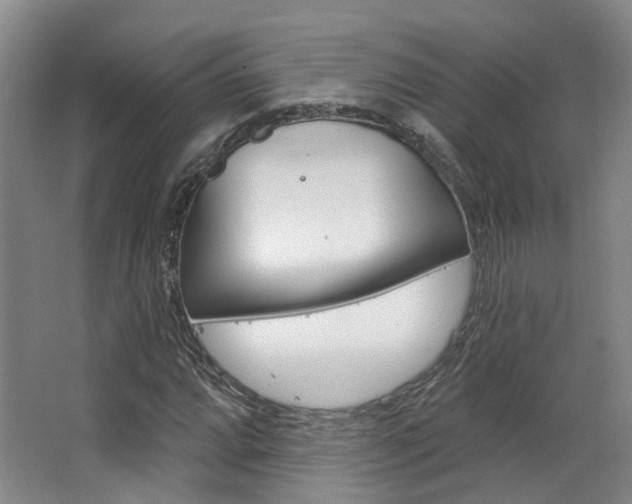 X0000063451064200601200949