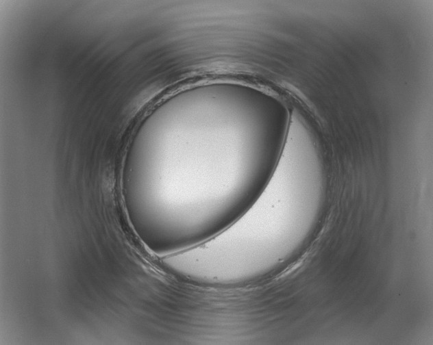 X0000063451065200601200949