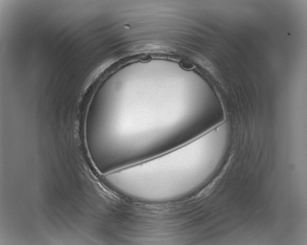 X0000063451066200601200949