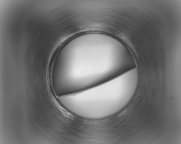 X0000063451072200601200949