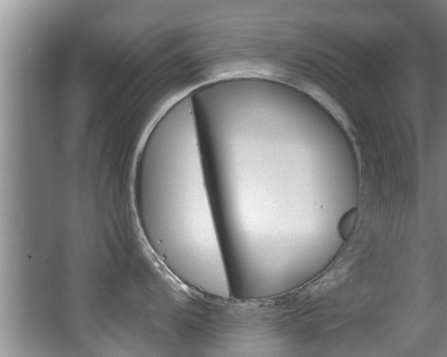 X0000063451104200601200948