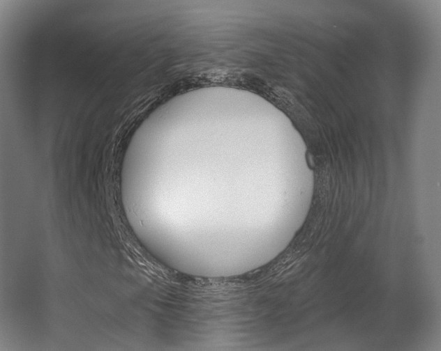 X0000063451105200601200947