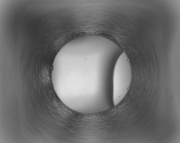 X0000063451106200601200947