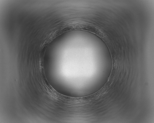 X0000063451108200601200947