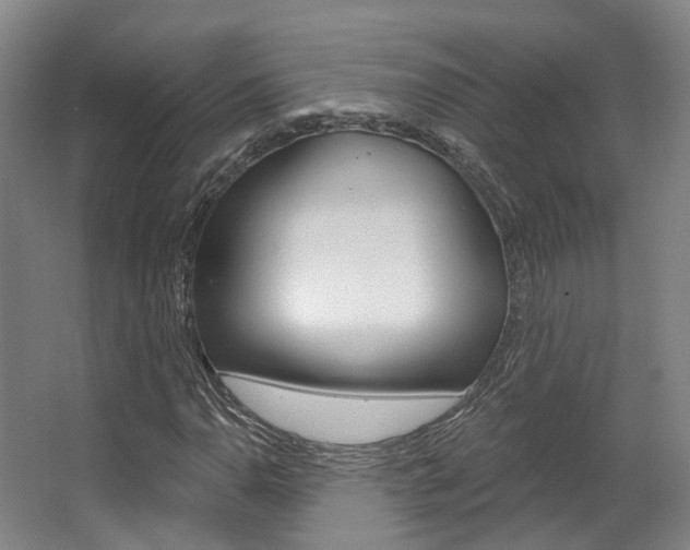 X0000063451110200601200947