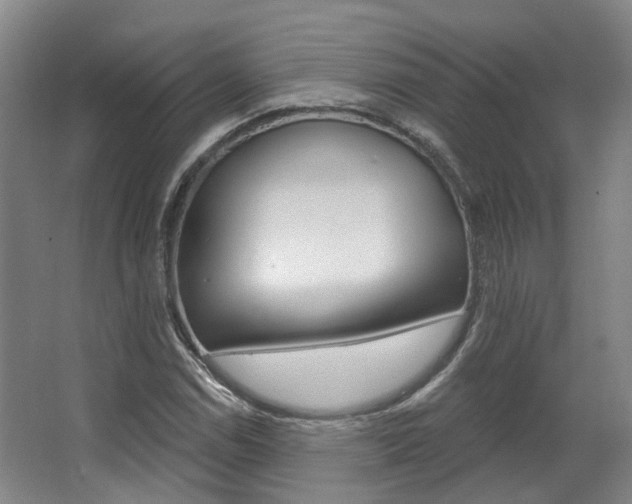 X0000063451114200601200947
