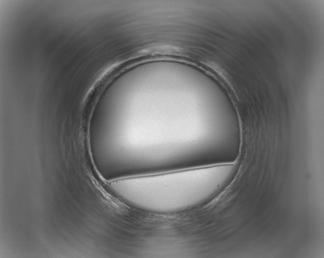 X0000063451115200601200947