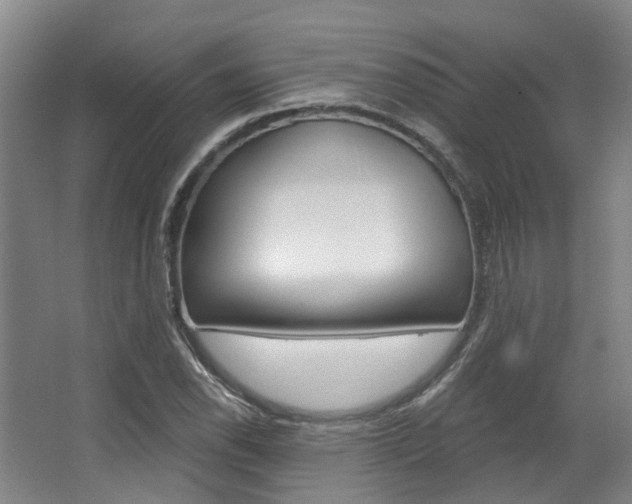 X0000063451118200601200947