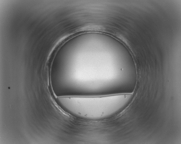 X0000063451123200601200948