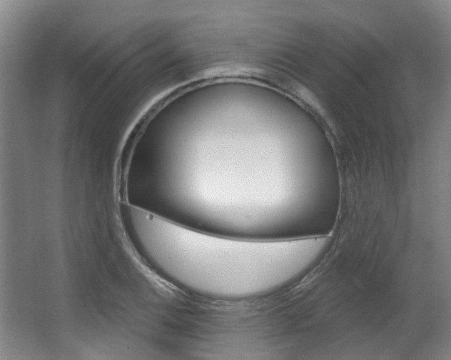 X0000063451124200601200948