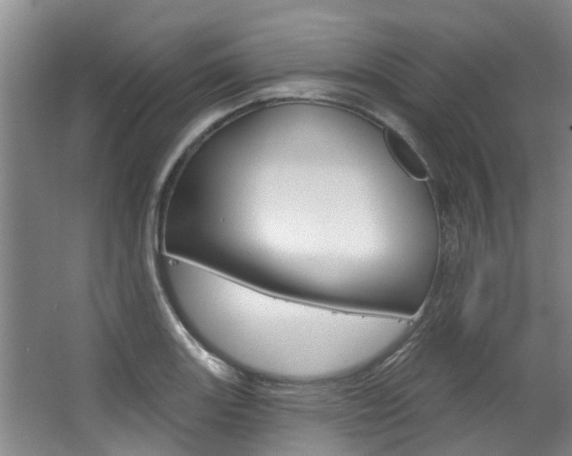 X0000063451131200601200948