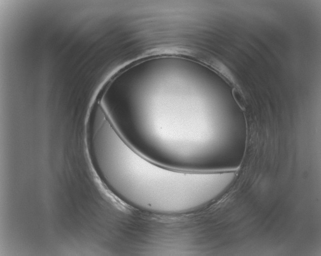 X0000063451132200601200948