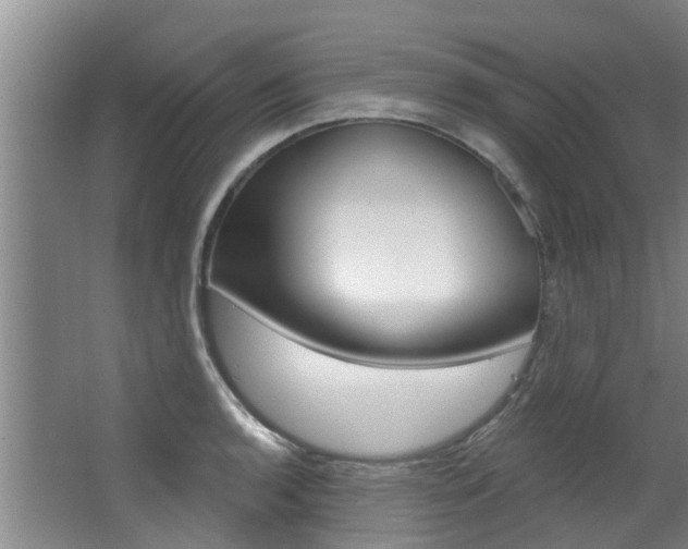 X0000063451136200601200948