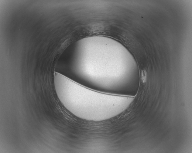 X0000063451155200601200947