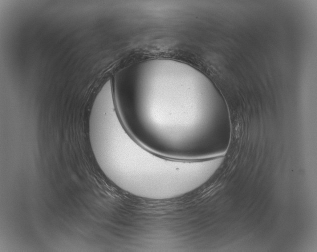 X0000063451156200601200947
