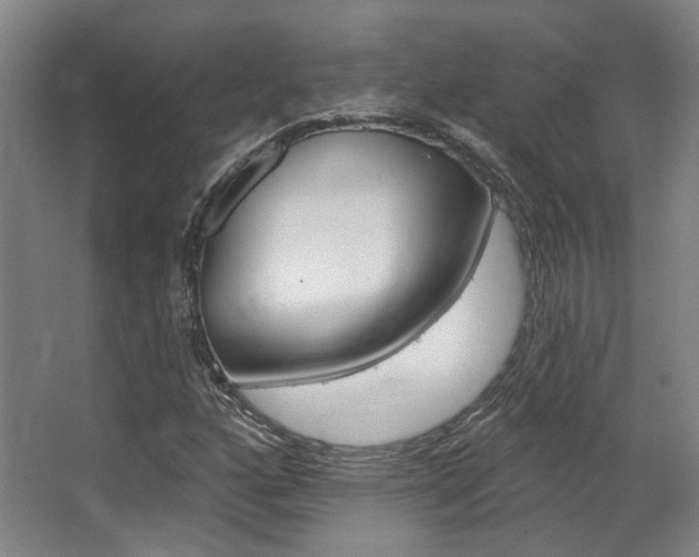 X0000063451160200601200947