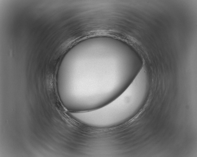 X0000063451161200601200947