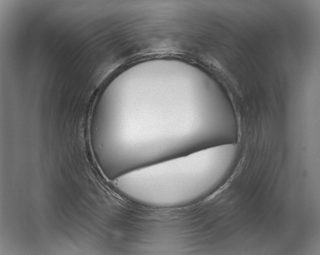 X0000063451162200601200947