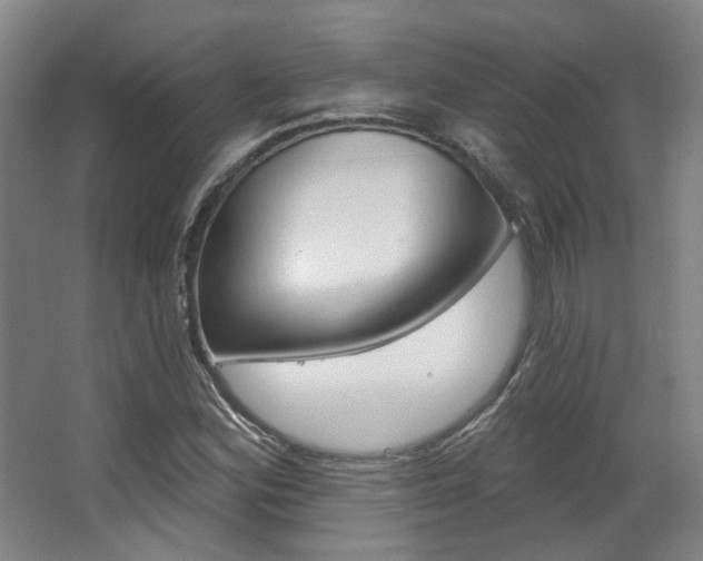X0000063451164200601200947